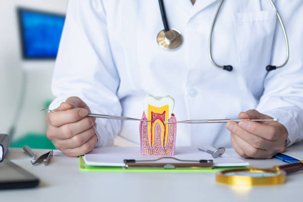 Best Broken Tooth Emergency  in Corcoran, MN